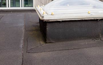 disadvantages of Portmahomack flat roofs