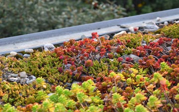 the cost of Portmahomack green roof installation