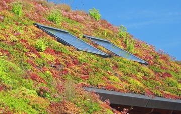 Portmahomack living roof systems