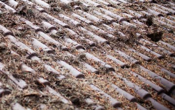 Portmahomack roof cleaning companies