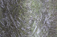 Portmahomack fibreglass roof work